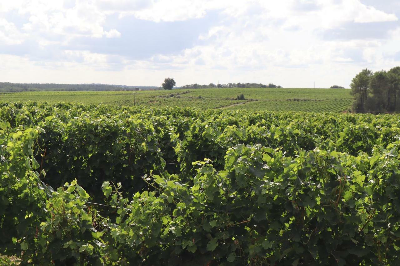 Domaine Des Tilleuls Val-de-Livenne 외부 사진